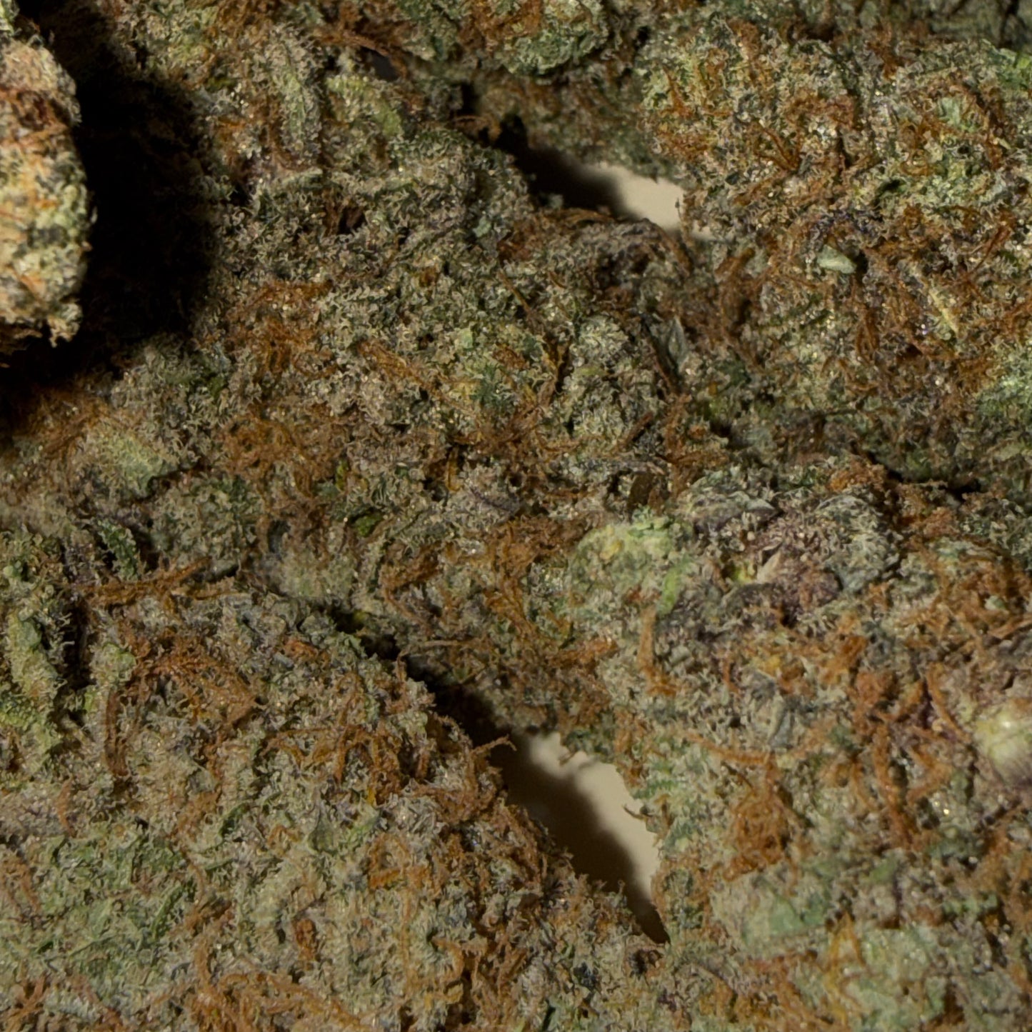 🍒 CHERRY GAS 🍒 CBD