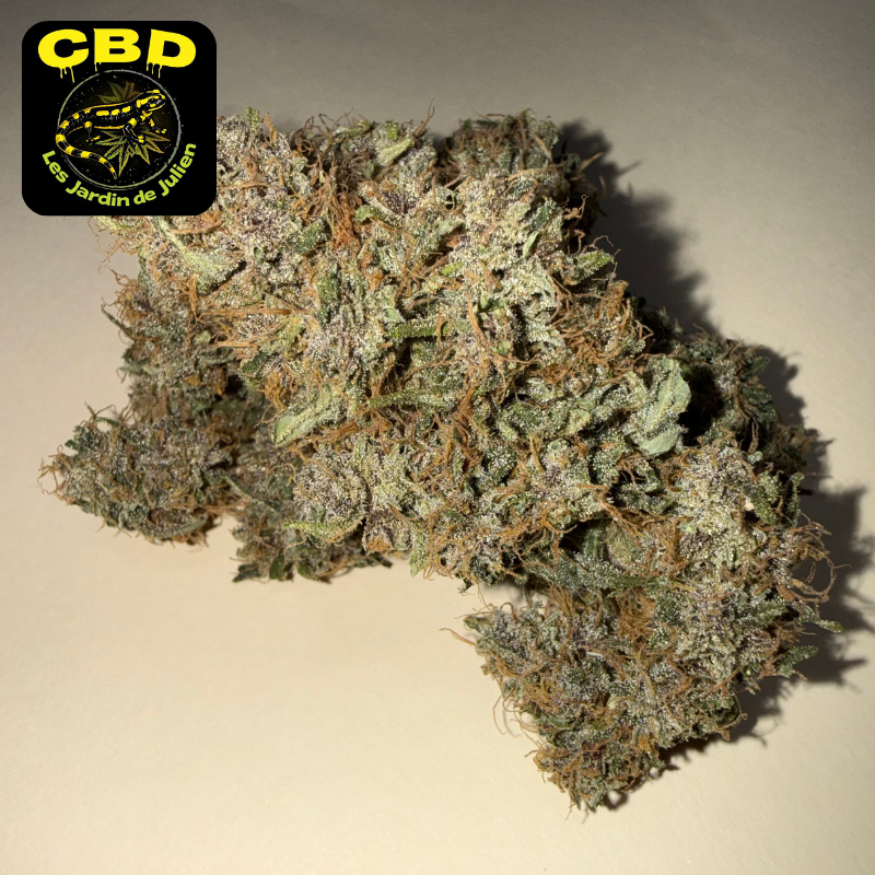 🍷 BLOOD LIME KUSH 🍷 CBD