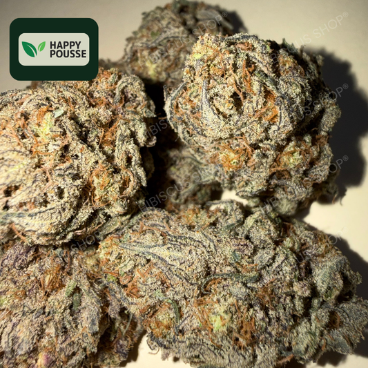 ⛽️ GAS GAZ ⛽️ CBD/CBG