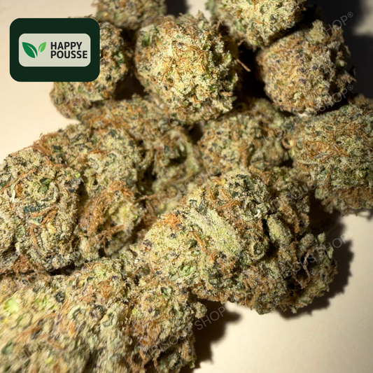 ♟️ DARK SAPHIR ♟️ CBD/CBG