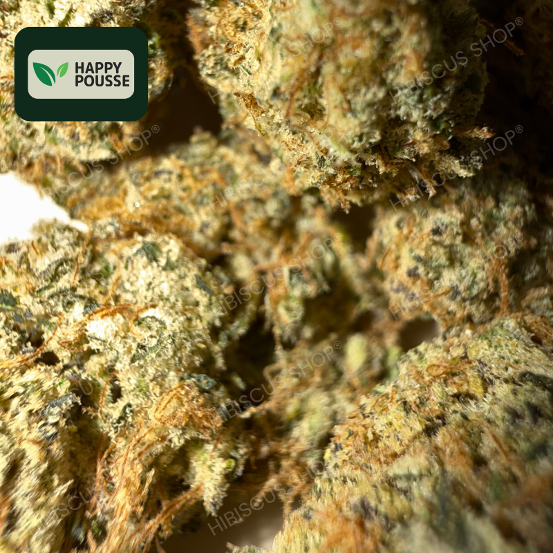 ♟️ DARK SAPHIR ♟️ CBD/CBG
