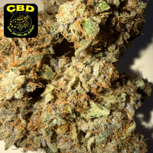 🍌 BANANA YAK 🍌 CBD