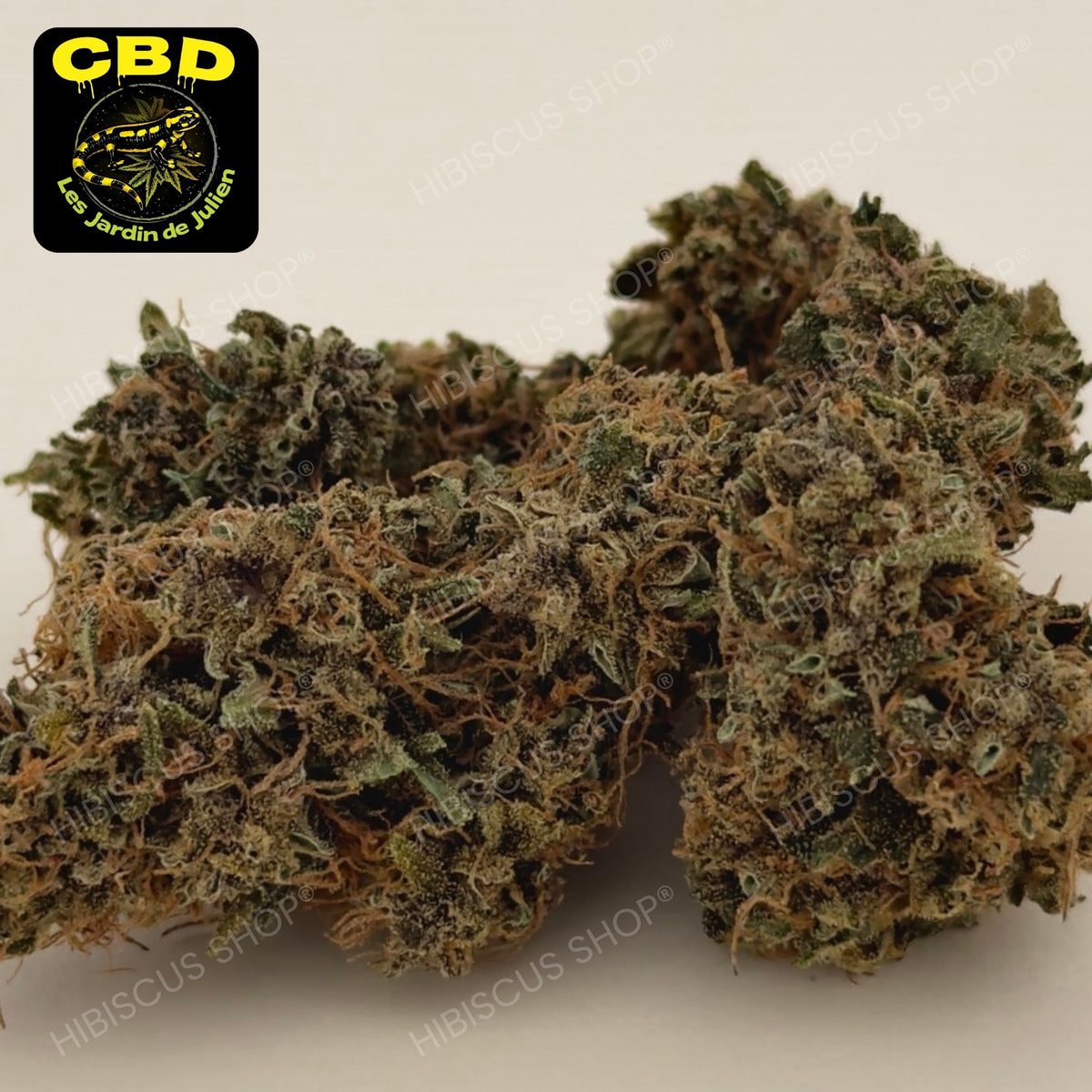 🍷 BLOOD LIME KUSH 🍷 CBD