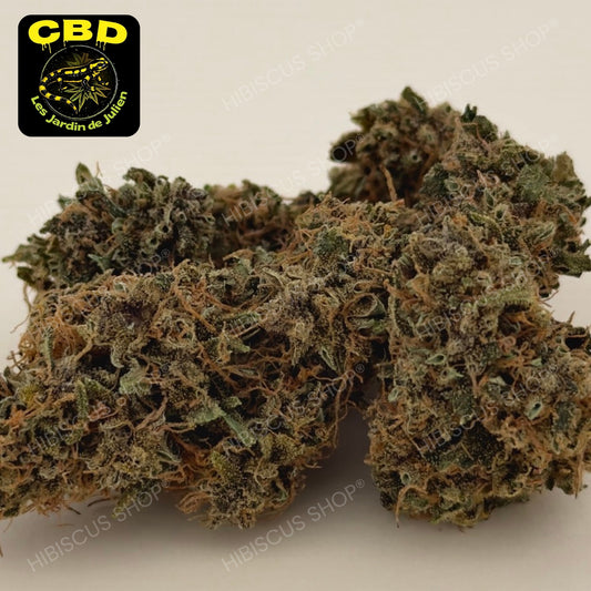 🍷 BLOOD LIME KUSH 🍷 CBD