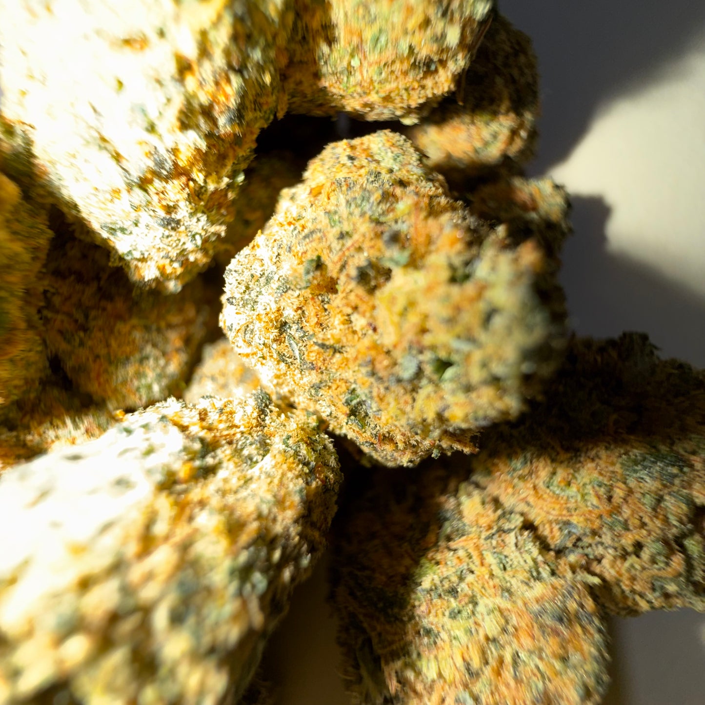 🥭 MANGO HAZE 🥭 HH