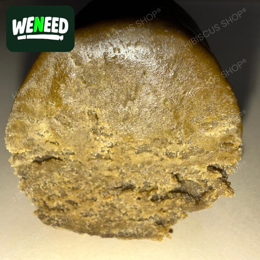 🥞 TEMPLE BALL 🥞 CBD