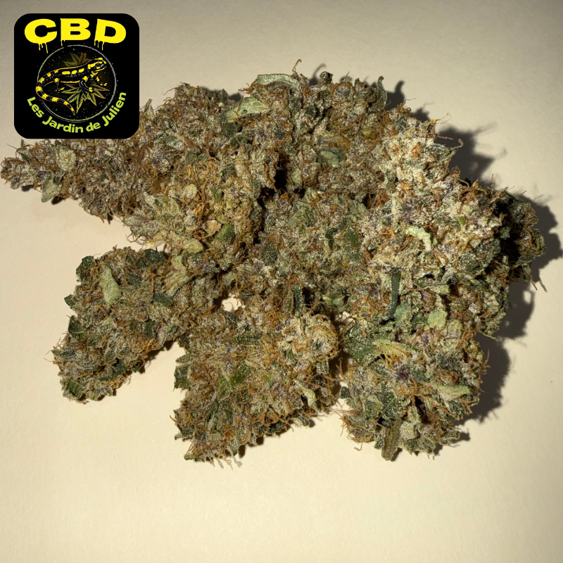 🍌 BANANA YAK 🍌 CBD