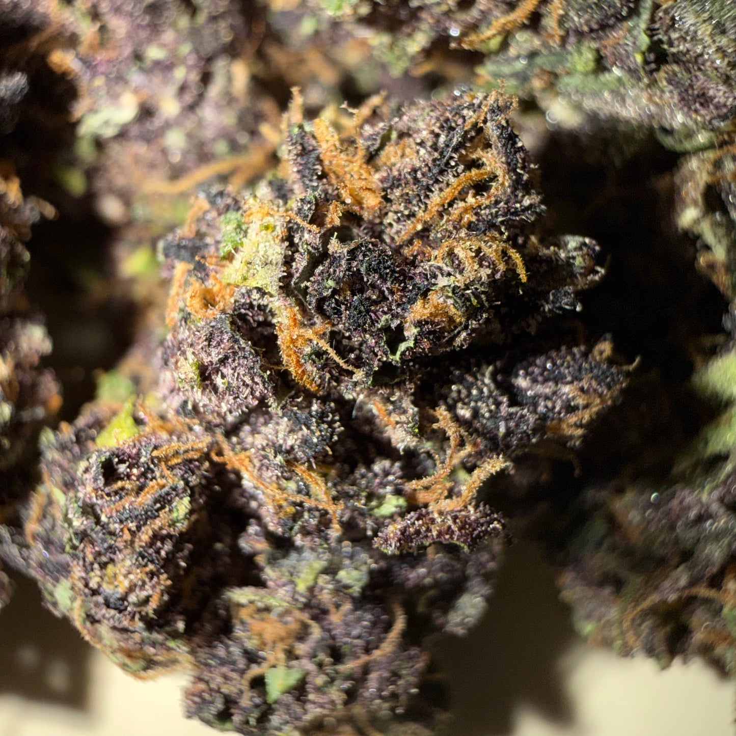 🍊 ORANGE FRITTER 🍊