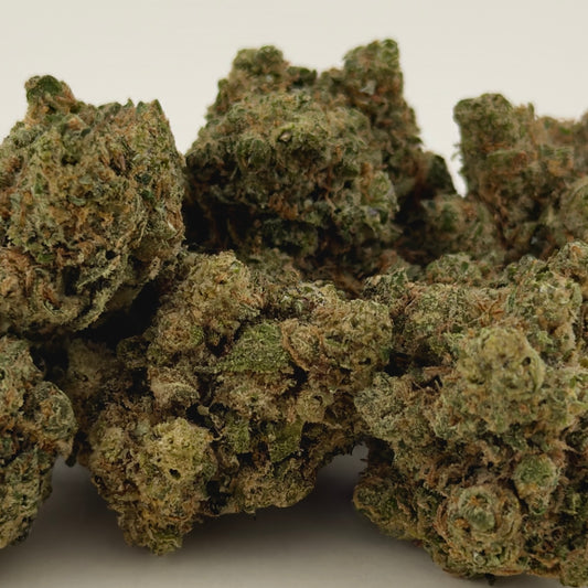 🧠 ZAMNESIA 🧠 HH