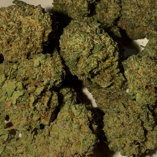 🤡 HARLEQUIN 🤡 CBD