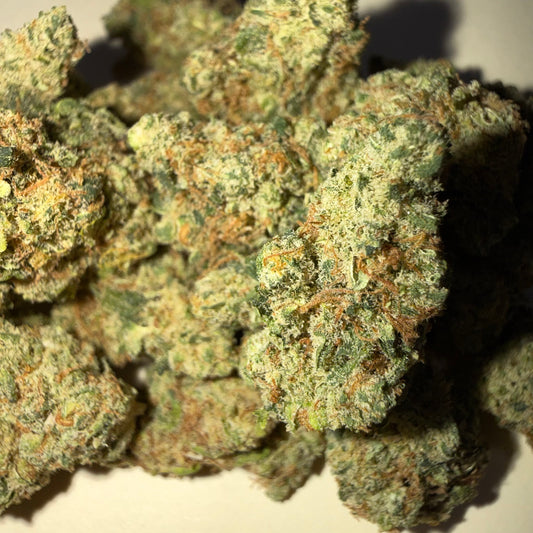 🥊 PASSION PUNCH 🥊 HH