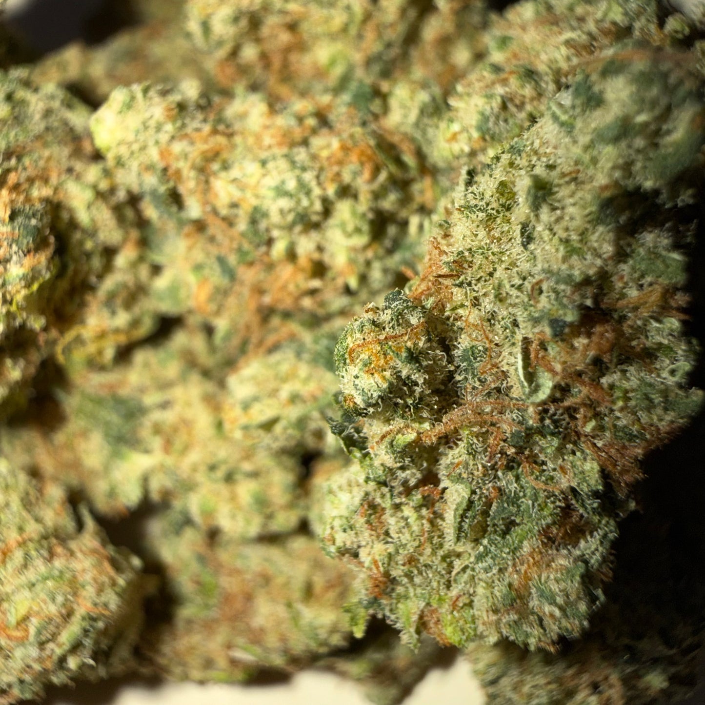 🥊 PASSION PUNCH 🥊 HH