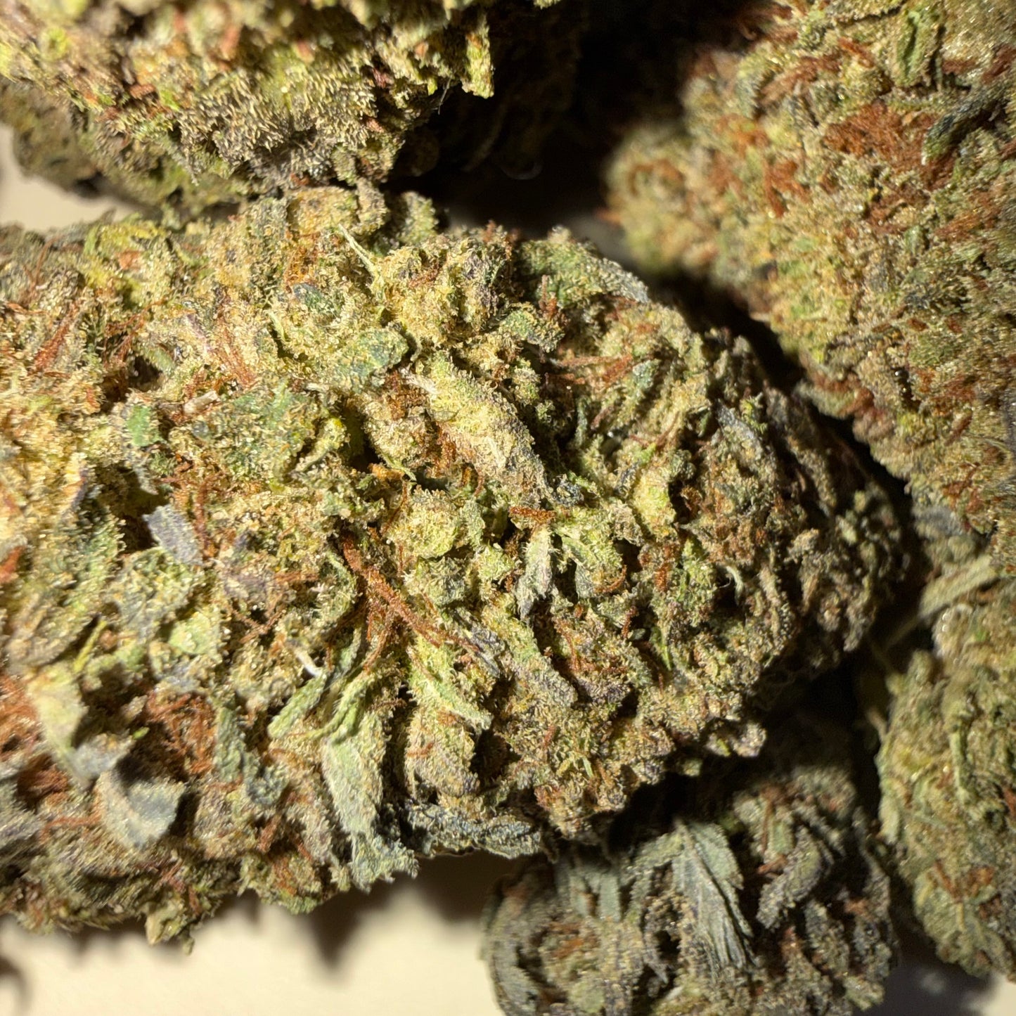 🫐 BLUEBERRY 🫐 CBD