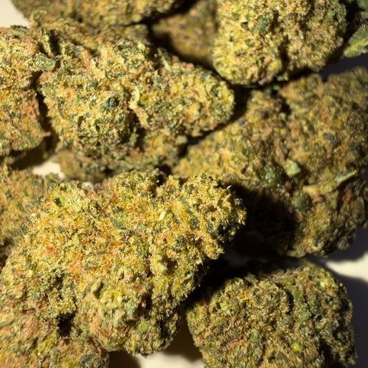 🍁 SKUNK 🍁 HH