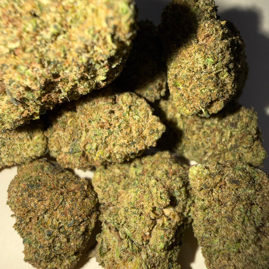 🫐 BERRY BOMB 🫐 HH