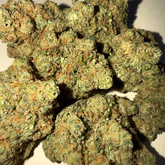 🧠 ZAMNESIA 🧠 HH