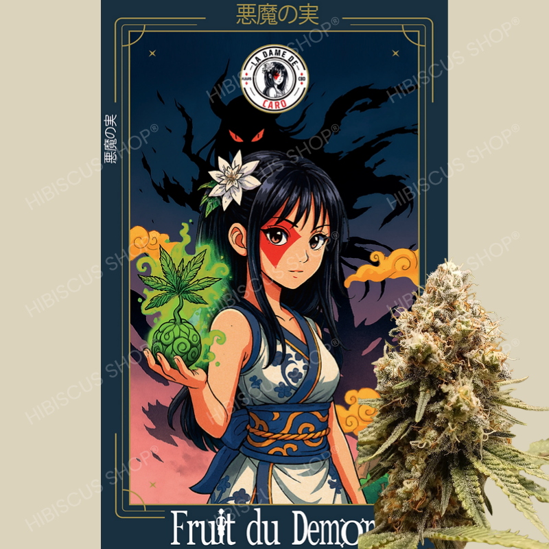 🍈 FRUIT DU DÉMON 🍈 CBD