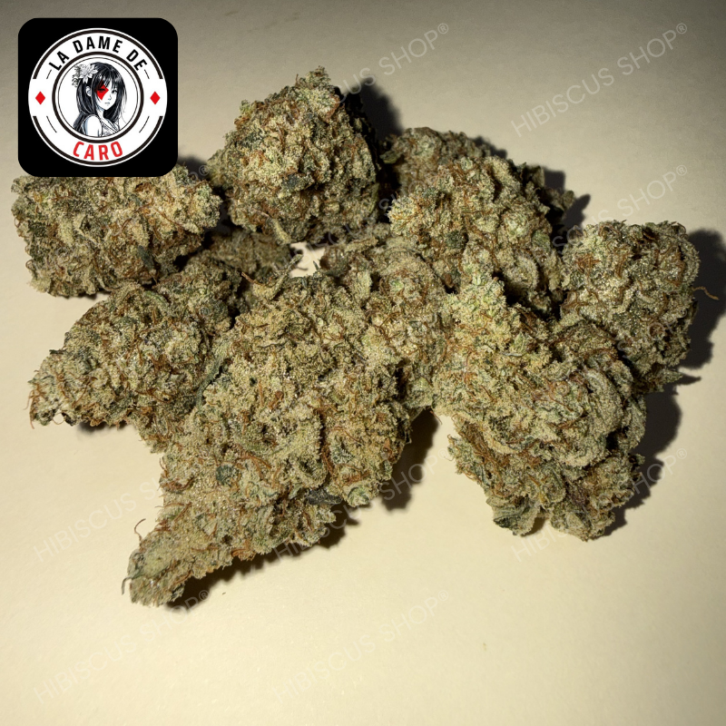 🍈 FRUIT DU DÉMON 🍈 CBD