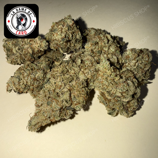 🍈 FRUIT DU DÉMON 🍈 CBD