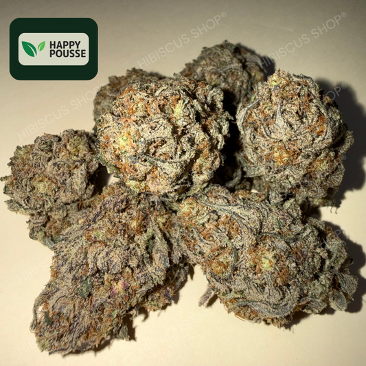 ⛽️ GAS GAZ ⛽️ CBD/CBG