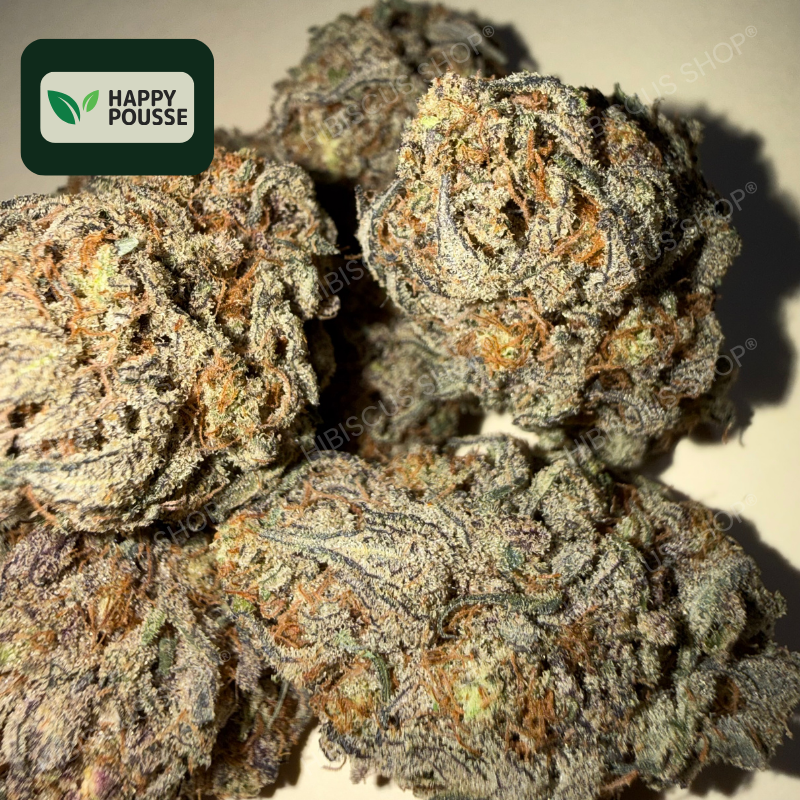 ⛽️ GAS GAZ ⛽️ CBD/CBG