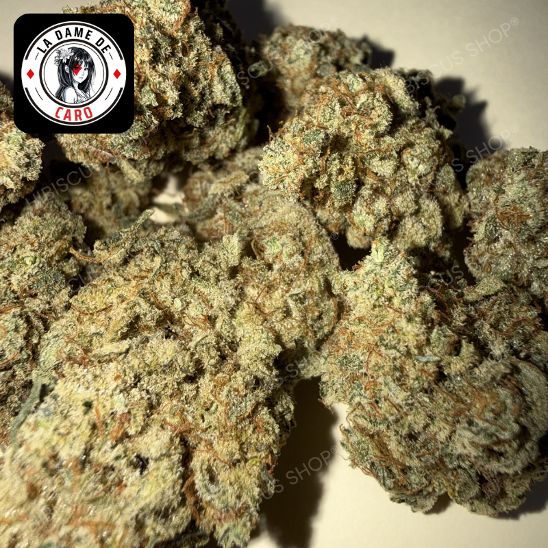 🍈 FRUIT DU DÉMON 🍈 CBD