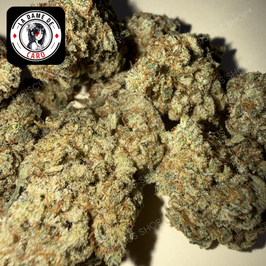 🍈 FRUIT DU DÉMON 🍈 CBD