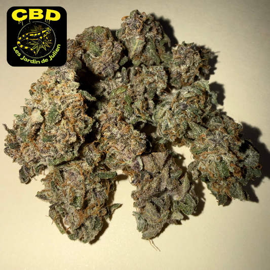 🌈 RAINBOW SHERBET 🌈 CBD