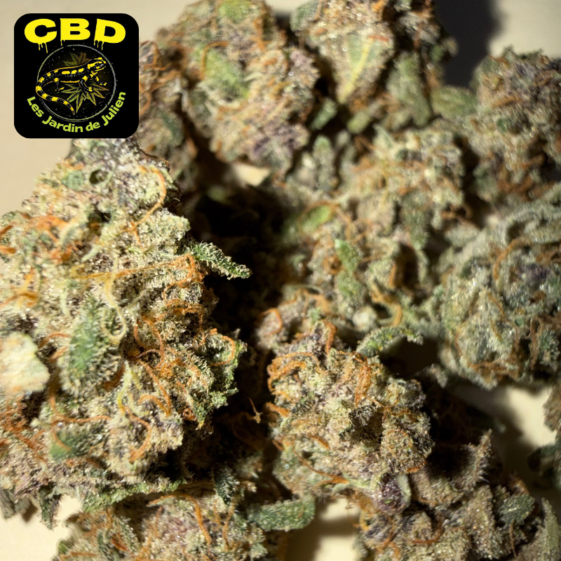 🌈 RAINBOW SHERBET 🌈 CBD