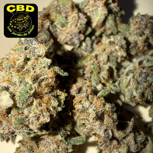 🌈 RAINBOW SHERBET 🌈 CBD