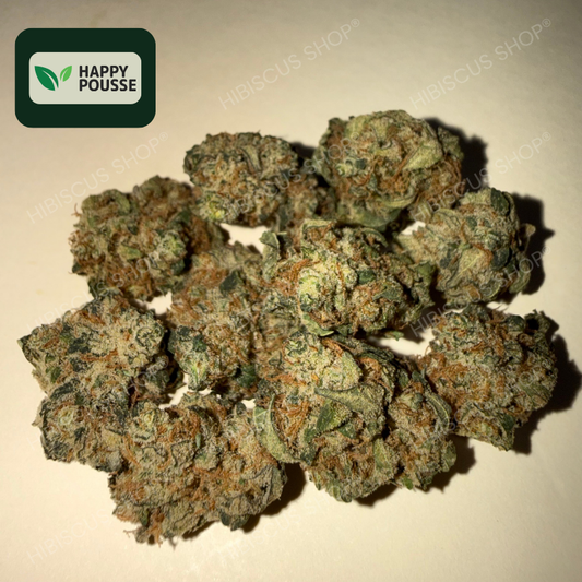 🍋 LEMON GRÂCE 🍋 CBD/CBG