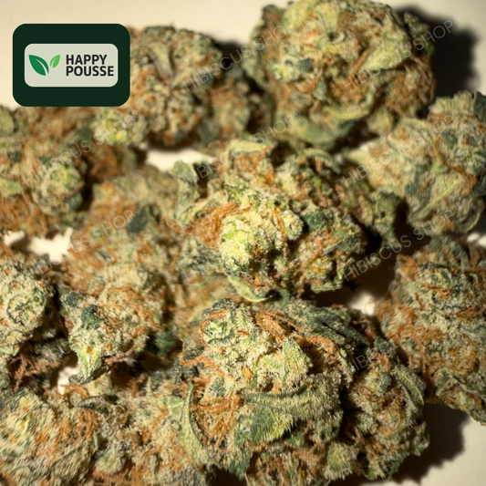 🍋 LEMON GRÂCE 🍋 CBD/CBG