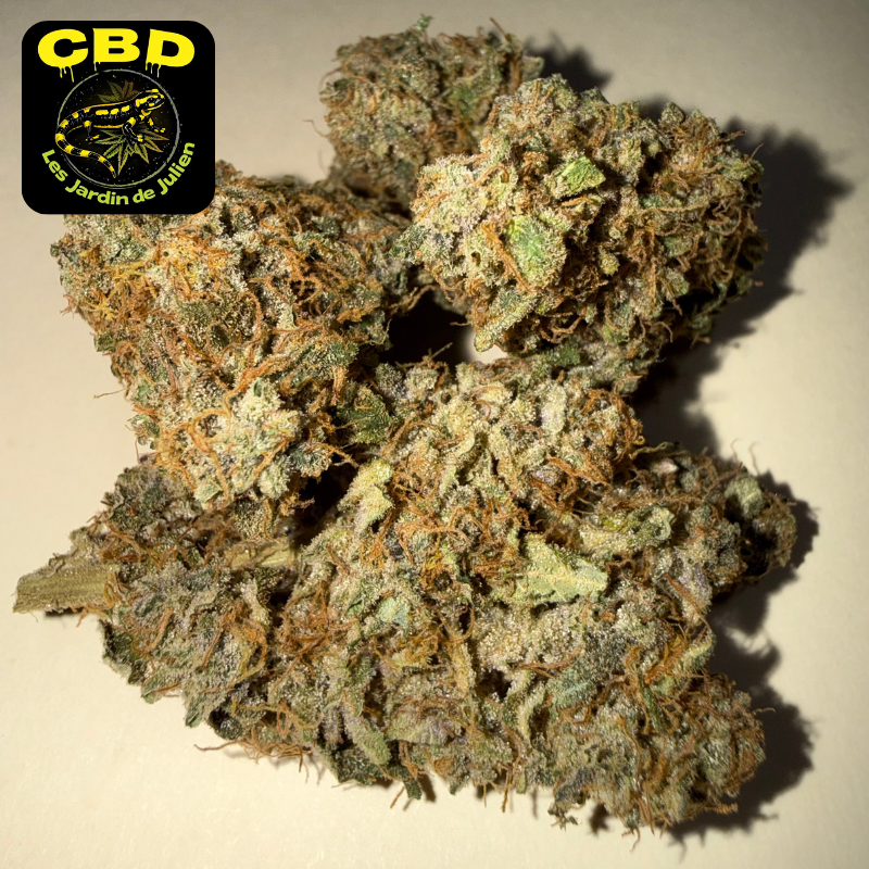 🍌 BANANA YAK 🍌 CBD