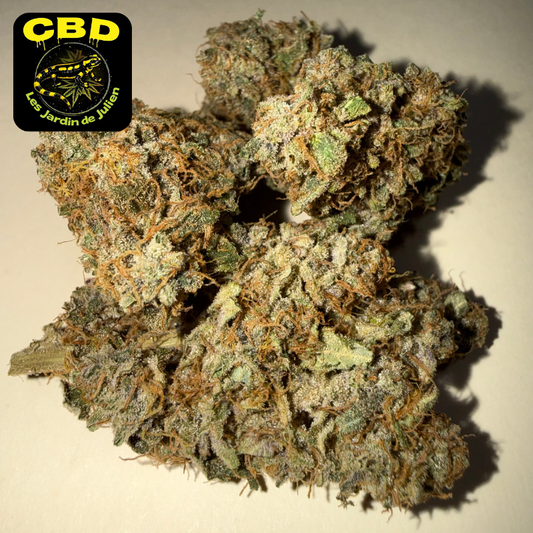 🍌 BANANA YAK 🍌 CBD