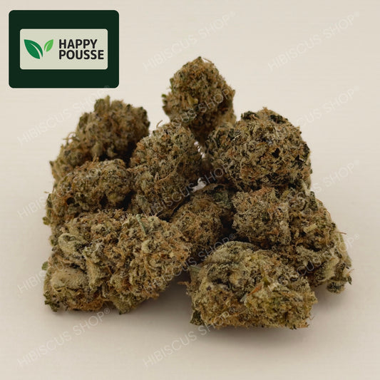 ♟️ DARK SAPHIR ♟️ CBD