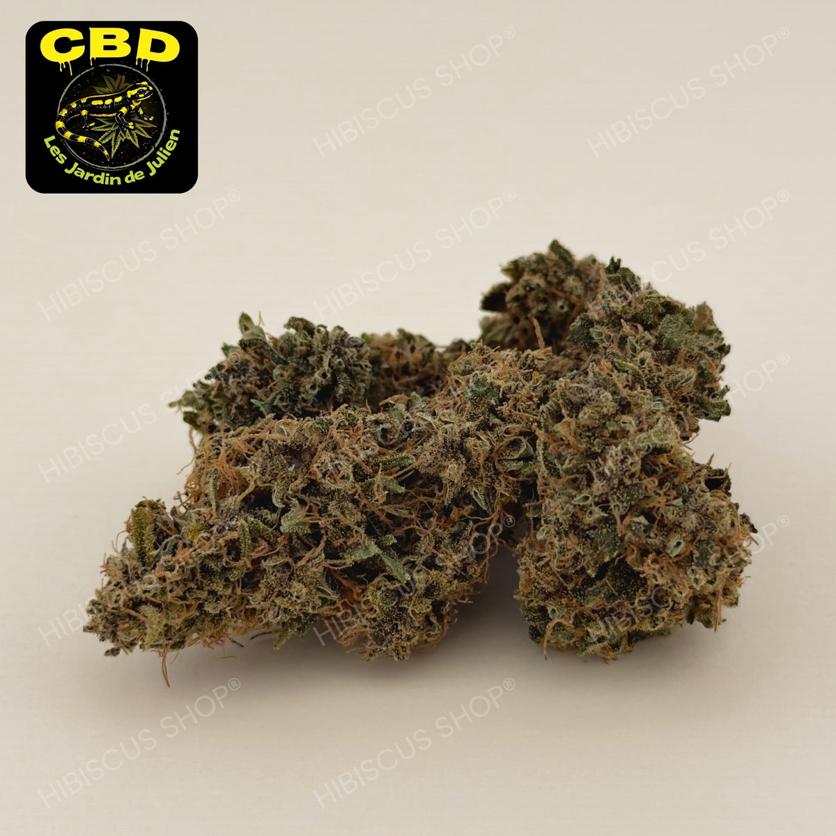 🍷 BLOOD LIME KUSH 🍷 CBD