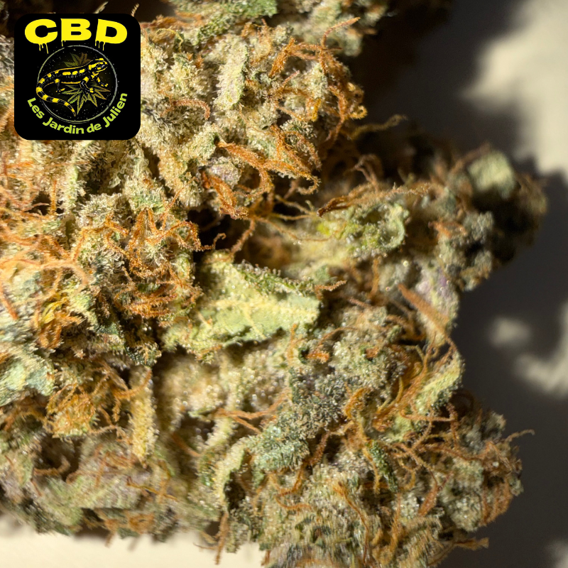 🍌 BANANA YAK 🍌 CBD