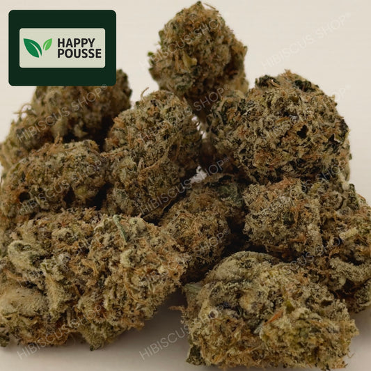 ♟️ DARK SAPHIR ♟️ CBD