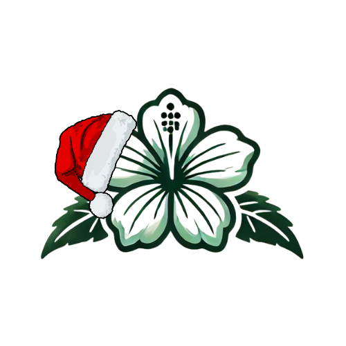 HIBISCUS SHOP - CBD ALICANTE