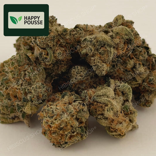 🍋 LEMON GRÂCE 🍋 CBD