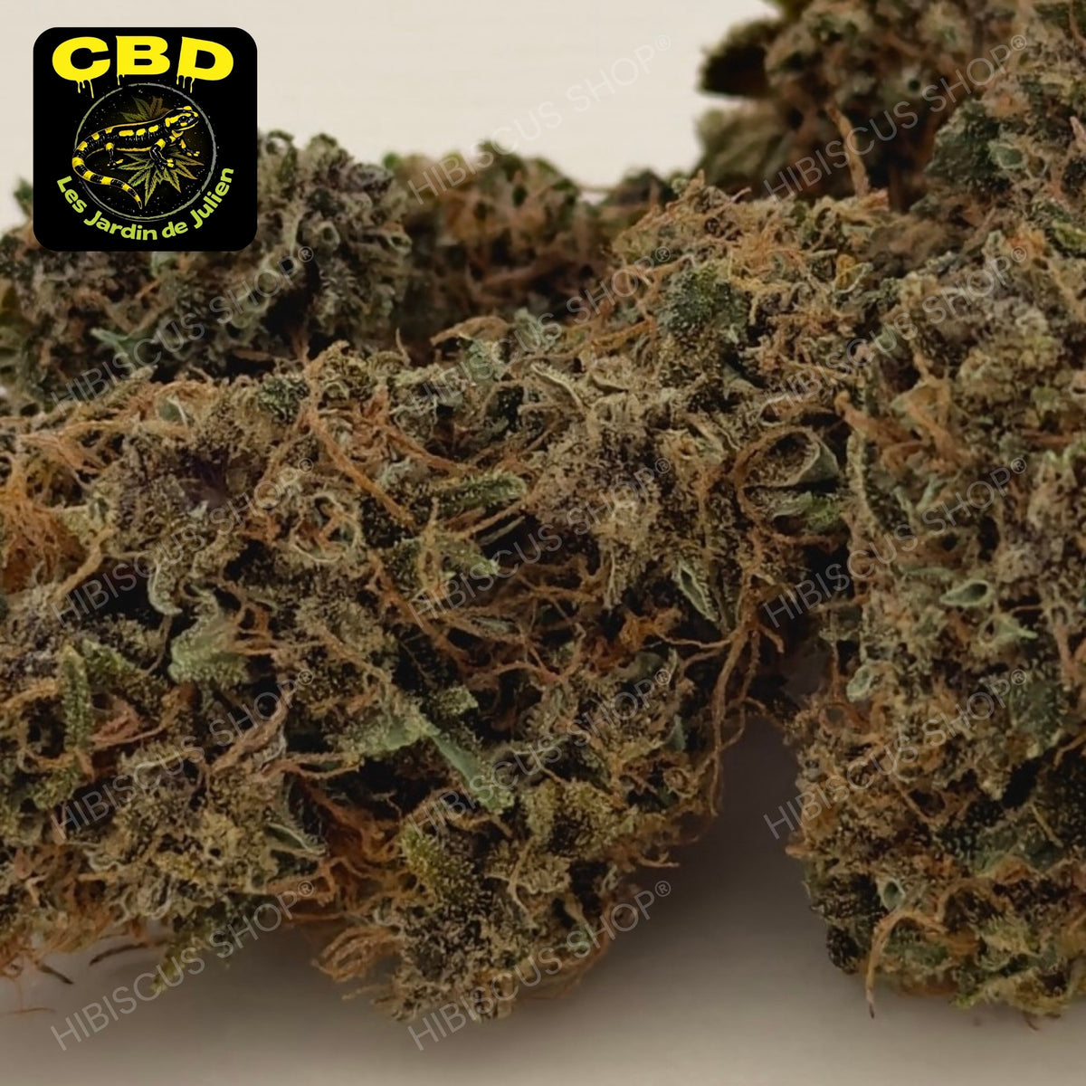 🍷 BLOOD LIME KUSH 🍷 CBD