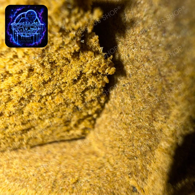 🧡 PRIMERO ORANGE 🧡 CBD