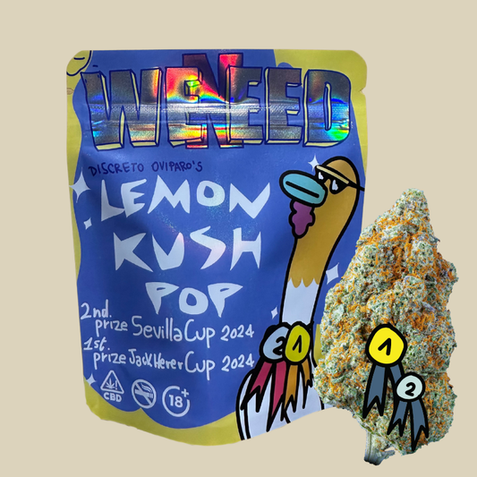 🍋 LEMON KUSH POP 🍋 CBD By WENEED®