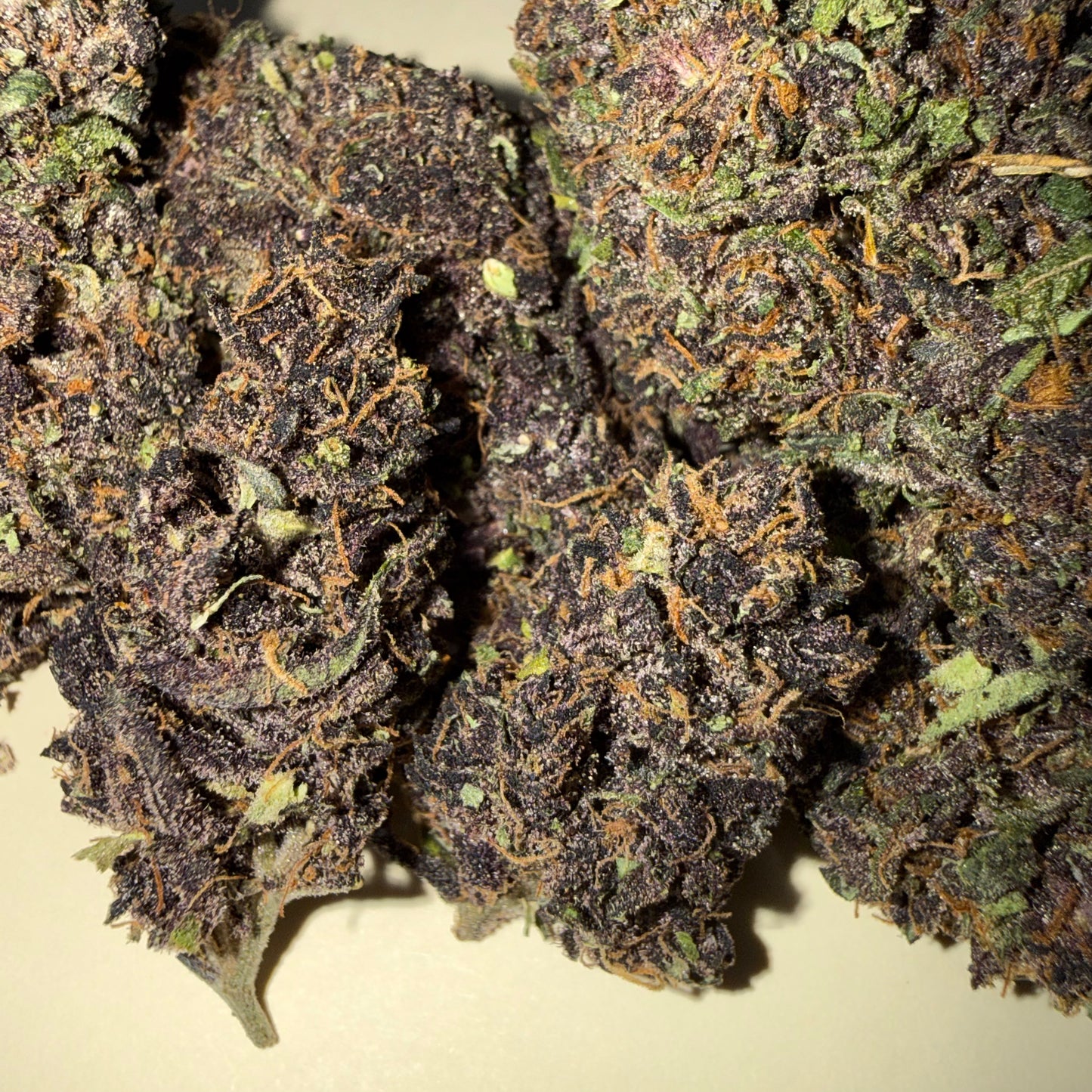 🍊 ORANGE FRITTER 🍊