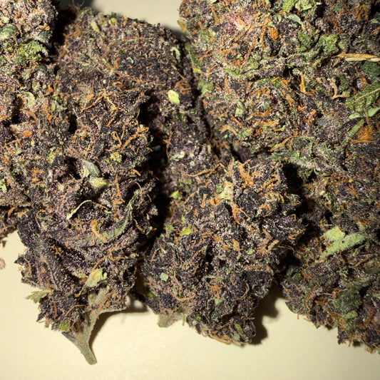 🍊 ORANGE FRITTER 🍊