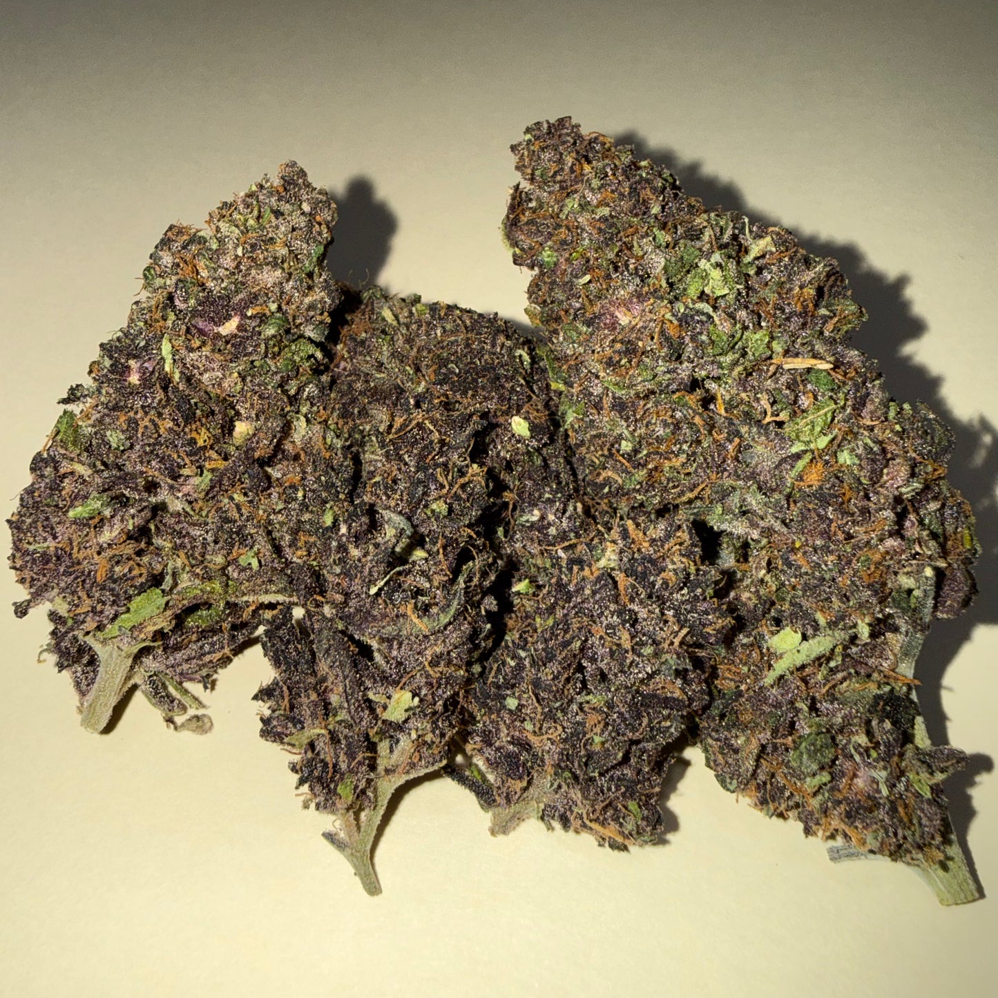 🍊 ORANGE FRITTER 🍊