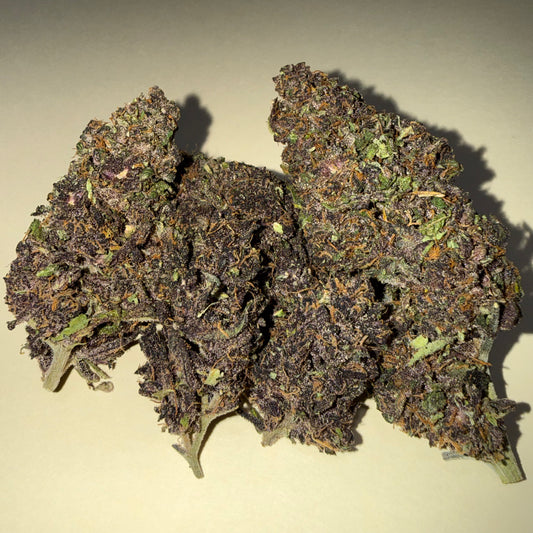 🍊 ORANGE FRITTER 🍊