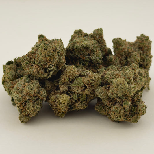 🧠 ZAMNESIA 🧠 HH