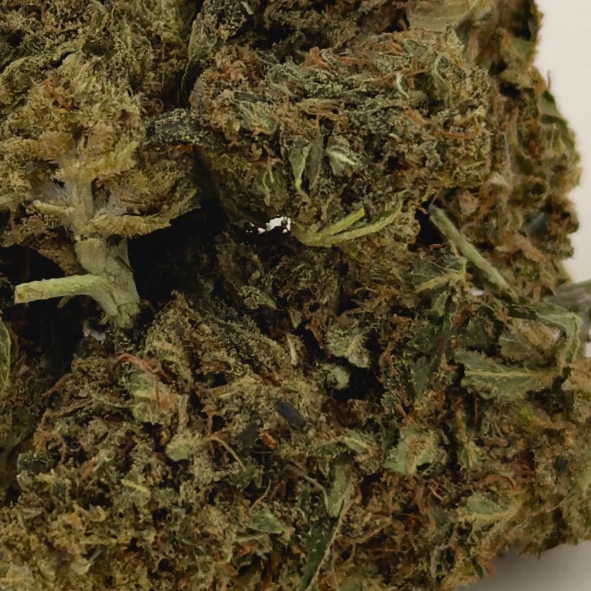 🍊 MANDARINE 🍊 CBD