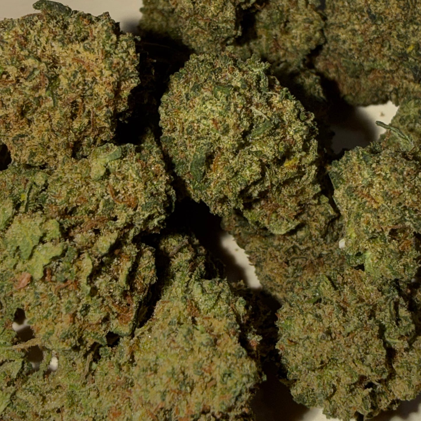 🤡 HARLEQUIN 🤡 CBD